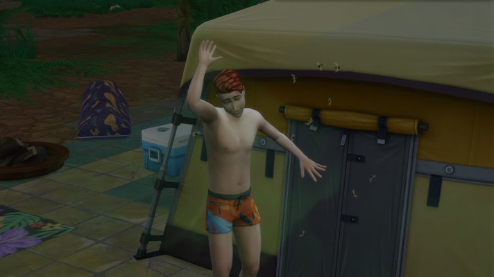 41.jpg