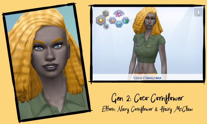 CocoCornflowerG2.jpg