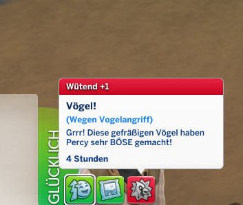 Vögel05.jpg