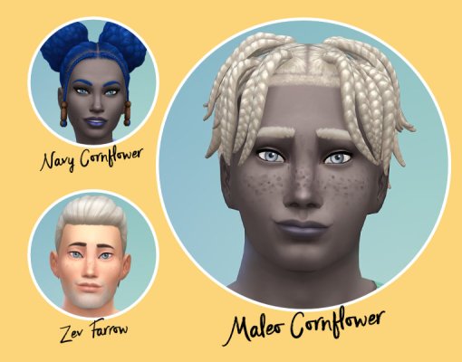 NZG1-MaleoCornflower04.jpg