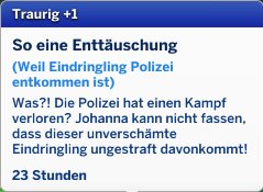 einbrecher.jpg