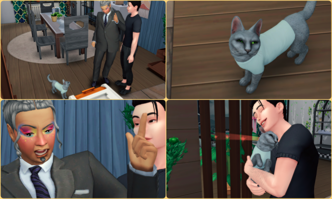 12.png
