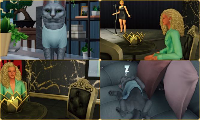 14.png