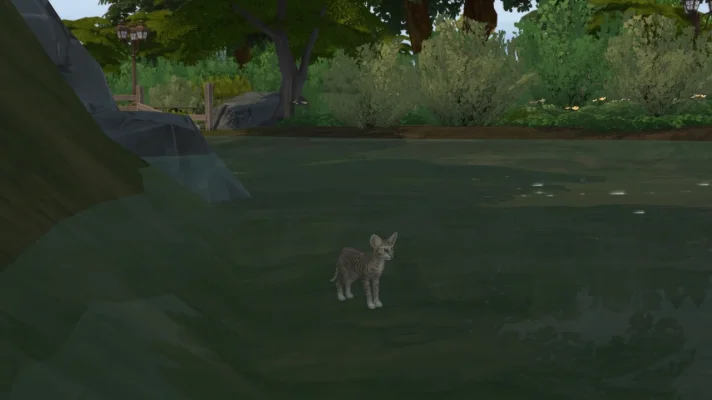 Wo ist die Katze.webp
