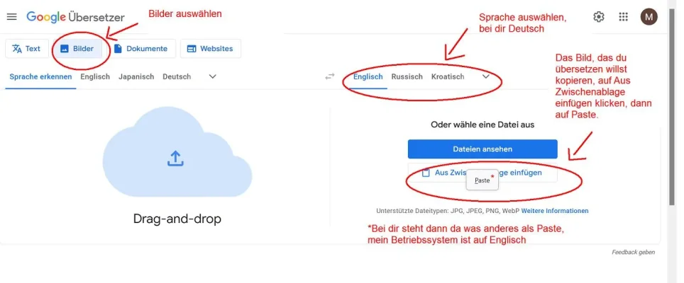googletranslate.webp