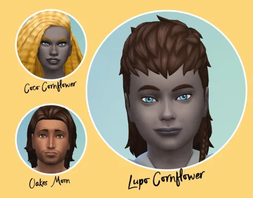 COG2-LupoCornflower03.webp COG2-LupoCornflower03.webp