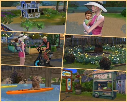 collage16.webp collage16.webp