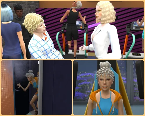 collage26.webp collage26.webp