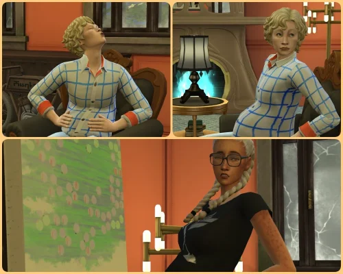 collage28.webp collage28.webp