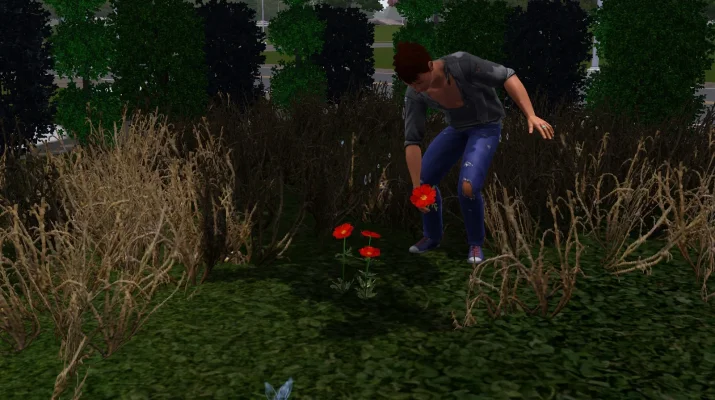 Screenshot-202.webp