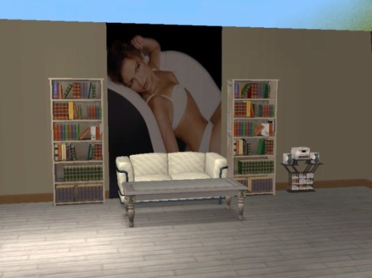 snapshot_00000006_eed4cb7a.jpg