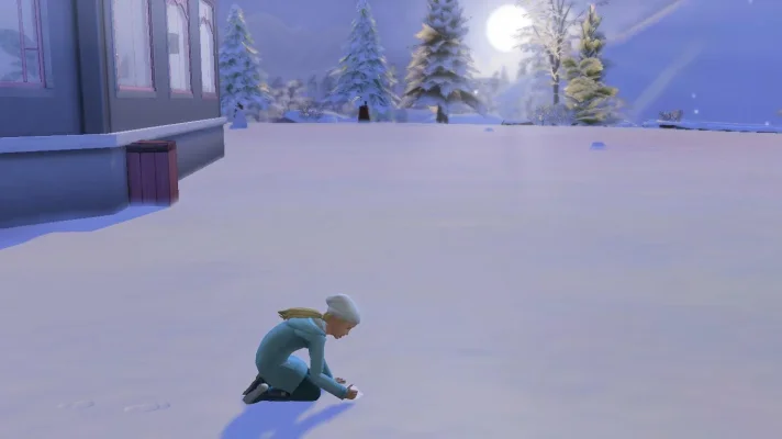 114 Ellie alleine im Schnee.png