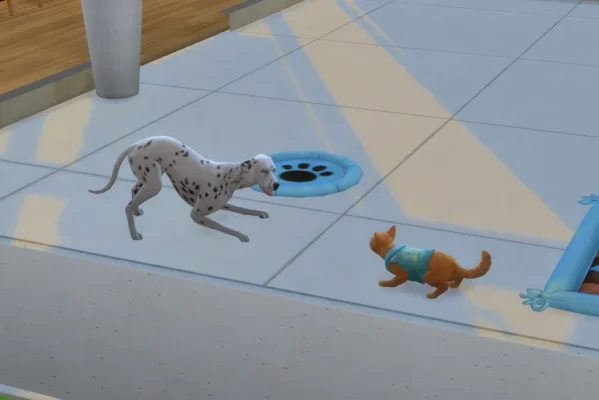 hundkatze.jpg