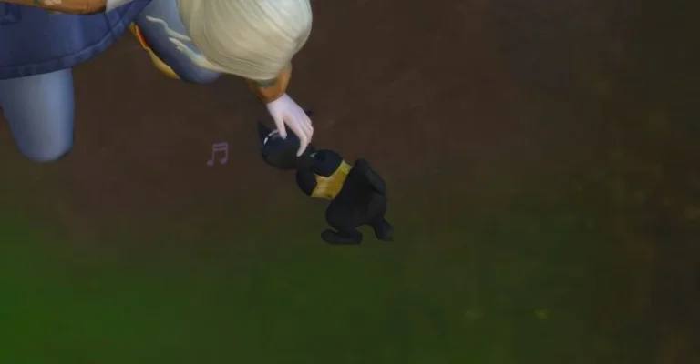 Blacky, das schwarze Häschen 6.webp