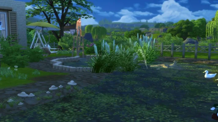 Pond_02.webp