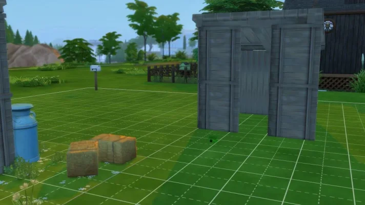 Shed_10.webp