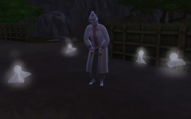 Shinaina 34.jpg