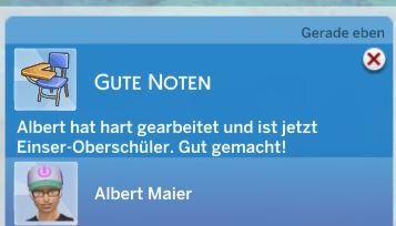 Albert bekommt trotz Urlaub gute Noten.JPG