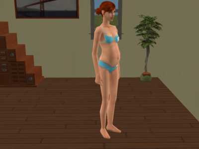 snapshot_d01347ce_f014eee7.jpg