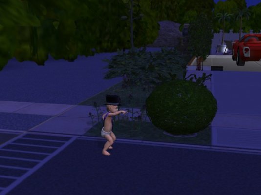 snapshot_7035cece_308b4ef9.jpg