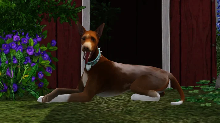 Felix vom Zauberwald f.webp