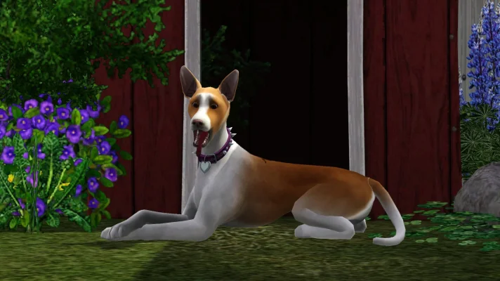 Screenshot-7.jpg Screenshot-7.jpg