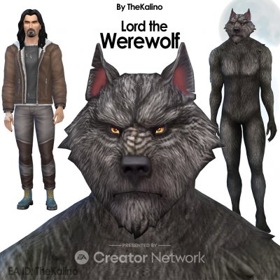 wolf.jpg