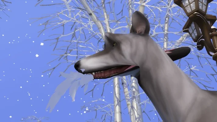 Bug Hund _2.webp