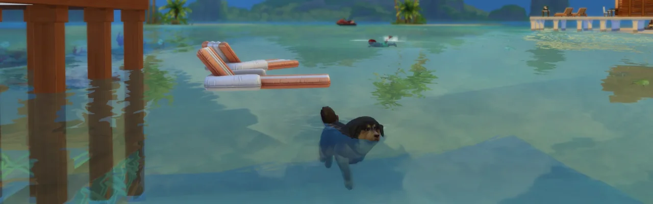 header_sommer_pet.jpg