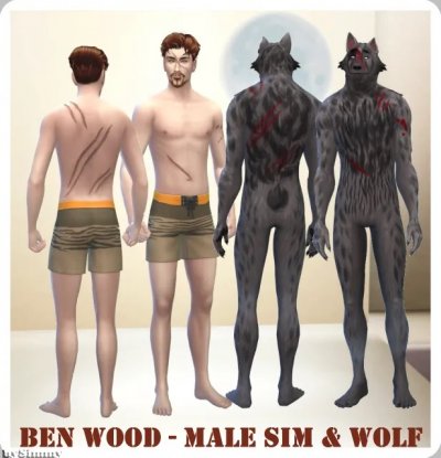 Ben_Male-Wolf(1).jpg