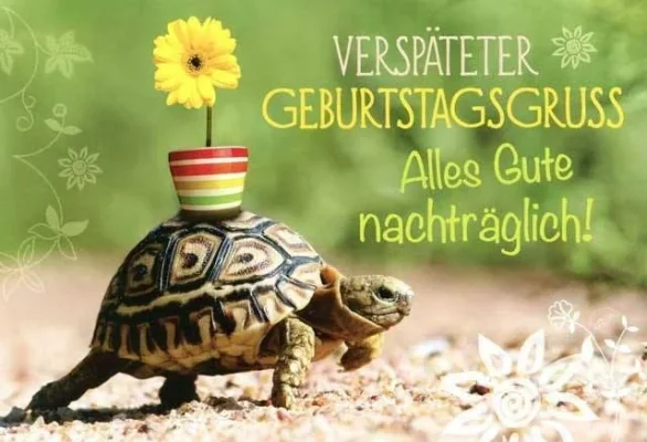 66a1f61402a9e8068f3fa147b6d81aa9.webp
