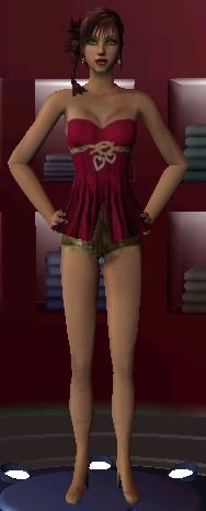 sim2.jpg