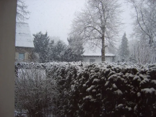 IMG00170.jpg