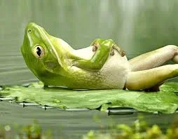 tiefenentspannt.webp