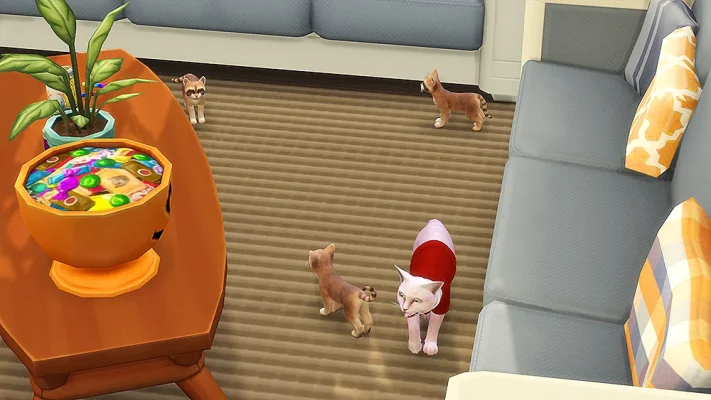 katzen.jpg