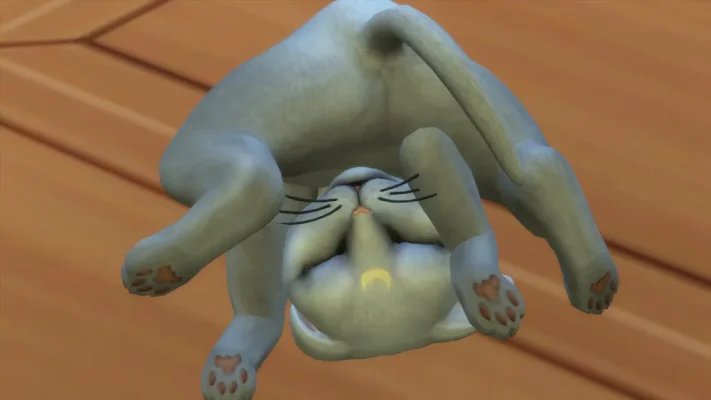 D1.jpg