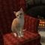 Katzensim