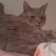 Caari.