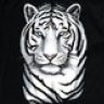 WhiteTiger