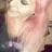PandoraPollux